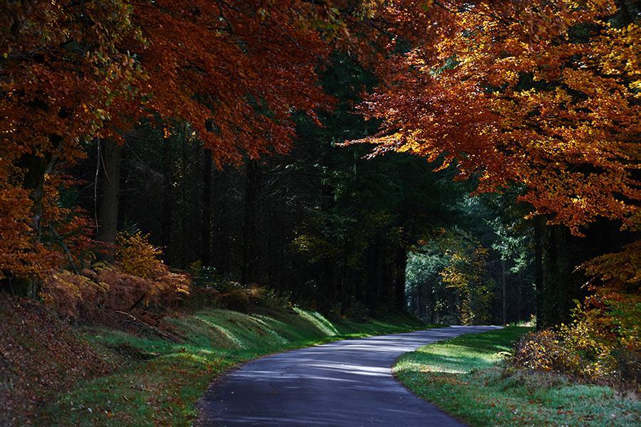 Отель Le Relais Des Lacs Bourgogne Morvan Planchez Экстерьер фото